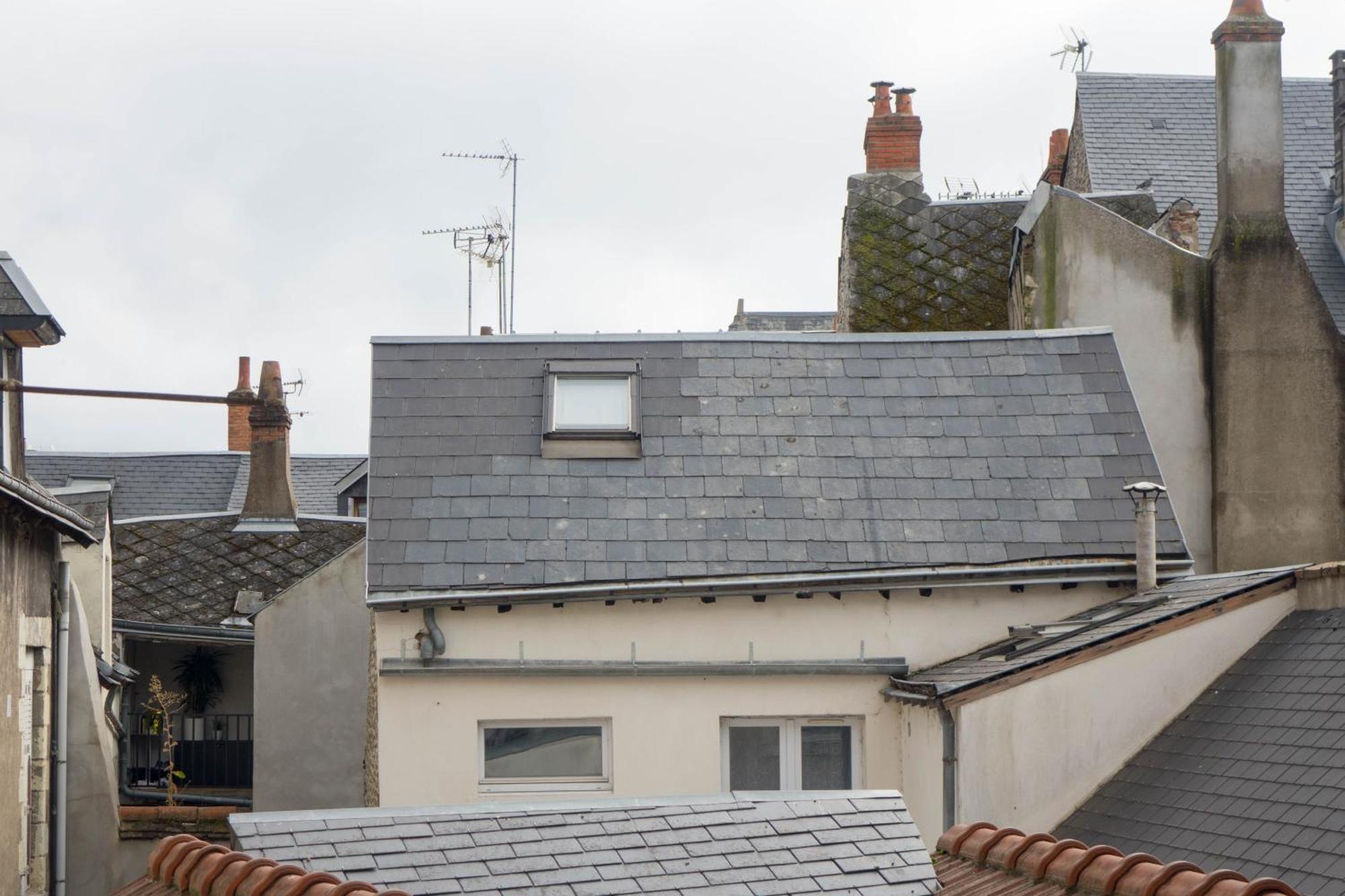 Orleans Centre Historique - Charmant T2 - L'Evasion Orleanaise 外观 照片